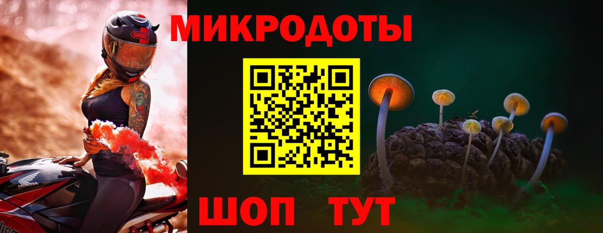 Верхняя Пышма  Галлюциногенные грибы Magic Shrooms  Вход с VPN 