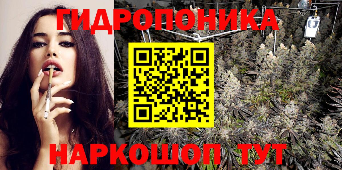 Канабис конопля Верхняя Пышма